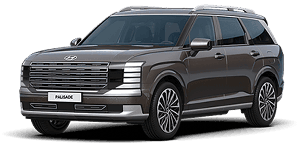 디 올 뉴 팰리세이드 가솔린 2.5 캘리그래피 4WD