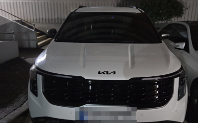 기아 더 뉴 카니발